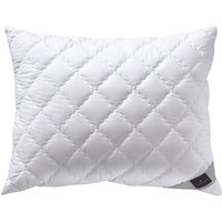 billerbeck Synthetikkopfkissen "520 ALCANDO, Kissen bauschkräftig", Füllung: AIRFLOCKS; 70% Polyester, 30% Lyocell (Tencel);, Bezug: Baumwoll-Feinperkal: 100% Baumwolle, versteppt mit 100% Polyester, (1 St.), strapazierfähig und kuschelig von Billerbeck