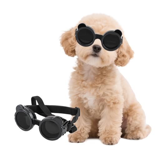 Billionchains Hundebrille für Kleine Hunde UV-Schutz Hundesonnenbrille Einstellbar Hund Motorradbrille für Kleine Hunde/Katzen, Schwarz Billionchains Hundebrille für Kleine Hunde UV-Schutz Hundesonnenbrille Einstellbar Hund Motorradbrille für Kleine Hunde/Katzen, Schwarz von BillionChains