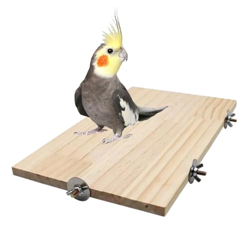 35 x 20 cm Große Holzplattform Vogelplattform Naturholz Haustierkletterplattform Holzständer Plattform für Haustiere Vogelkäfig Sitzstangen Quadratischer 35 x 20 cm Große Holzplattform Vogelplattform Naturholz Haustierkletterplattform Holzständer Plattform für Haustiere Vogelkäfig Sitzstangen Quadratischer von Billowvolve
