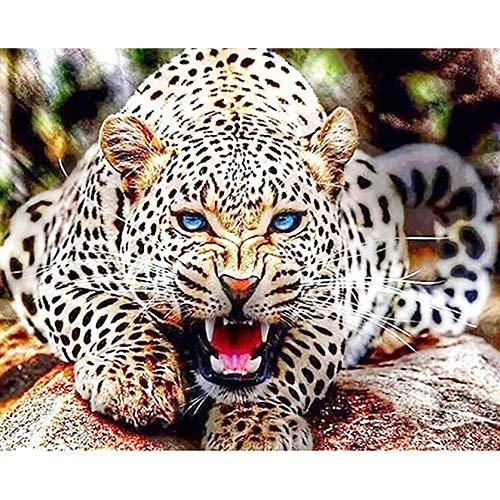 Bimkole DIY 5D Diamond Painting Zubehör Leopard Augapfel, Leopard Diamant Malerei Kit Voll Runde Bohrer Malen nach Zahlen Malerei Stickerei Kreuzstich Diamond Dekoration, (40x50 cm) von Bimkole