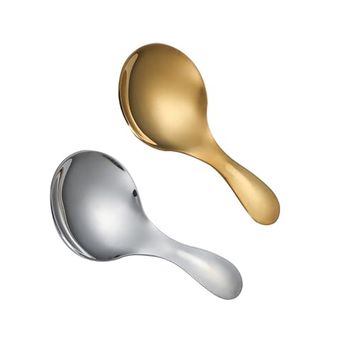 Kleiner Salzlöffel aus Edelstahl,2 PCS Runde Dessertlöffel Löffel mit Kurzem Griff Teeschaufeln Messlöffel Desserts Eislöffel für Marmeladengläser Gewürze Kaffee Stainless Steel Short Handle Spoons von BinPhorm