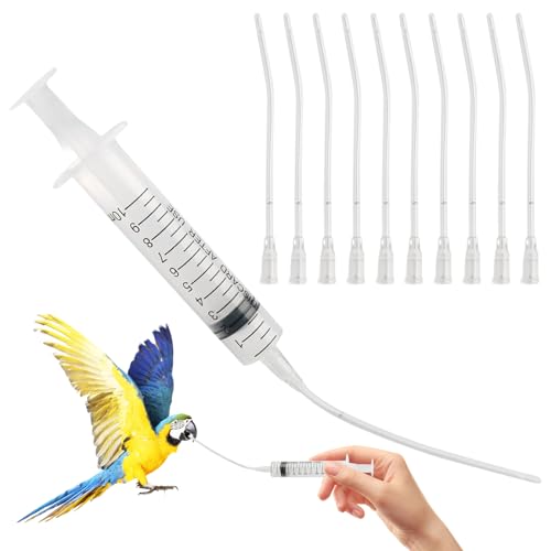 Jungvögel Füttern Spritze 10ml,Spritzen 10ml Feeder Parrot,Spritze Mit Schlauch(10pcs) Für Futter Tauben & Vögel,Knopfkanüle Futterspritze Bird Jungvögel Füttern Spritze 10ml,Spritzen 10ml Feeder Parrot,Spritze Mit Schlauch(10pcs) Für Futter Tauben & Vögel,Knopfkanüle Futterspritze Bird von BinXiaoQin