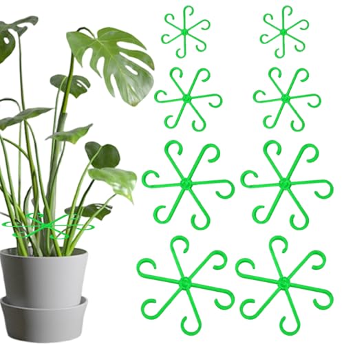 8 Stück Pflanzenstütze,Staudenhalter,Rankhilfe Zimmerpflanzen,Pflanzenstützen,Pflanzen Stütze,Kunststoff Pflanzen Rankhilfe,für Monstera Rankhilfe,Outdoor Indoor,Alocasia Hortensien und Tomaten Holder von BinXiaoQin