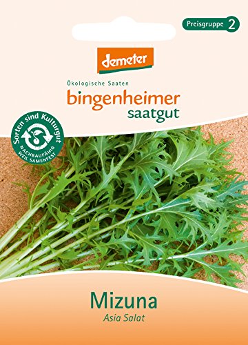 Bingenheimer Saatgut - Asia Salat Mizuna - Gemüse Saatgut / Samen von Bingenheimer