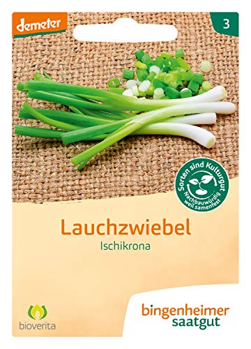 Bingenheimer Saatgut AG Lauchzwiebel Ischikrona (2 x 1 Stk) von Bingenheimer Saatgut AG