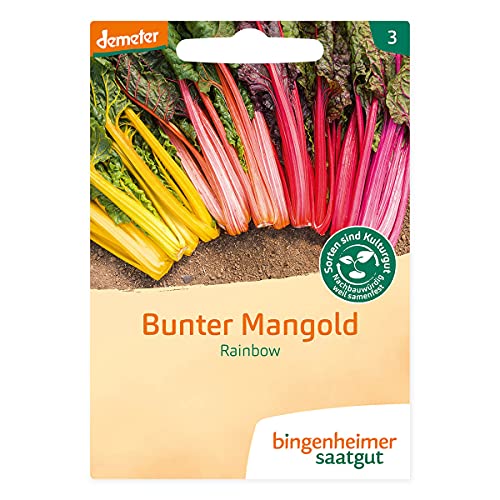 Bingenheimer Saatgut AG Mangold Rainbow (2 x 1 Stk) von Bingenheimer Saatgut AG