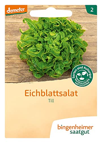 Bingenheimer Saatgut AG Pflücksalat Till (2 x 1 Stk) von Bingenheimer Saatgut AG