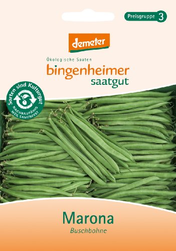 Bingenheimer Saatgut - Buschbohne Marona - Gemüse Saatgut / Samen von Bingenheimer Saatgut AG
