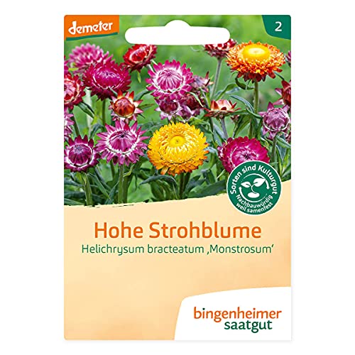 Bingenheimer Saatgut - Hohe Strohblume - 1 Tüte von Bingenheimer Saatgut