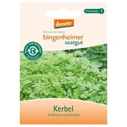 Bingenheimer Saatgut - Kerbel - Kräuter Saatgut / Samen von Bingenheimer Saatgut AG