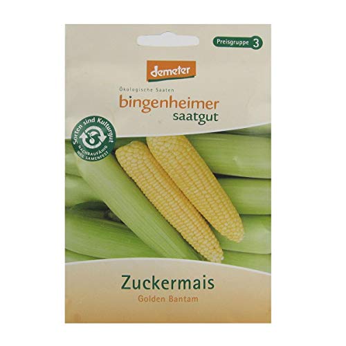 Bingenheimer Saatgut - Zuckermais Golden Bantam - Gemüse Saatgut / Samen von Bingenheimer Saatgut AG