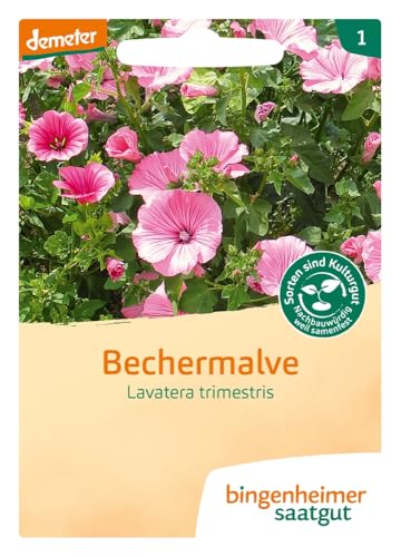 BINGENHEIMER Saatgut, Bechermalve, Blumen BINGENHEIMER Saatgut, Bechermalve, Blumen von Bingenheimer Saatgut
