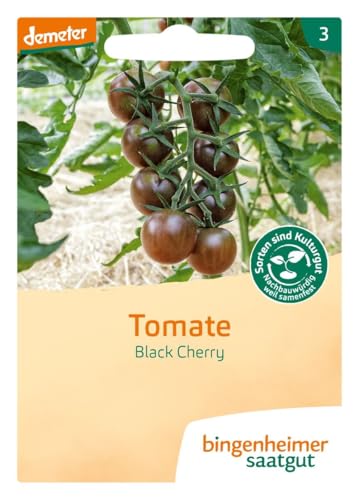 BINGENHEIMER Saatgut, Tomate, Black Cherry BINGENHEIMER Saatgut, Tomate, Black Cherry von Bingenheimer Saatgut