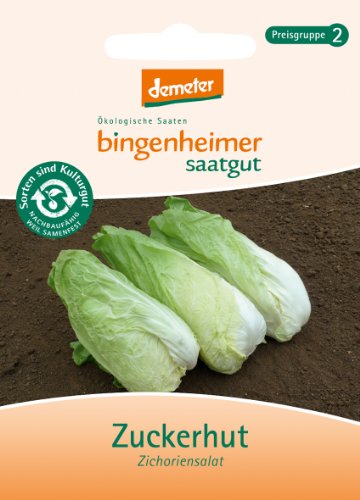 BINGENHEIMER Saatgut, Zichoriensalat, Zuckerhut von Bingenheimer Saatgut