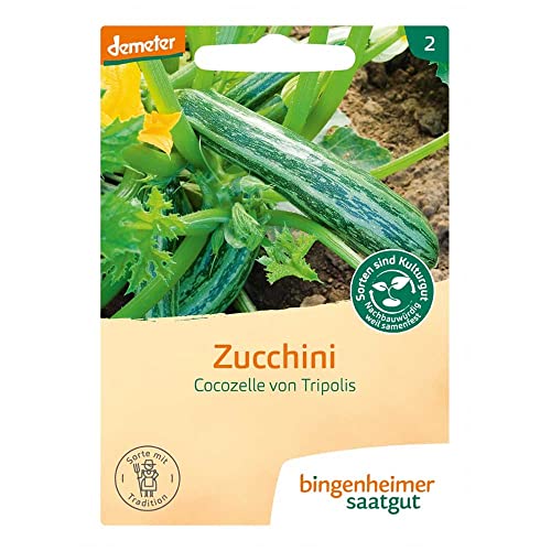 BINGENHEIMER Saatgut, Zucchini, Cocozelle von Tripolis von Bingenheimer Saatgut