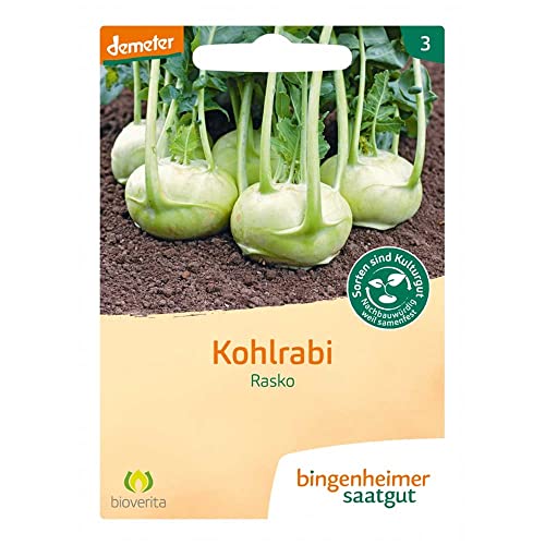 BINGENHEIMER Saatgut Kohlrabi, Rasko von Bingenheimer Saatgut