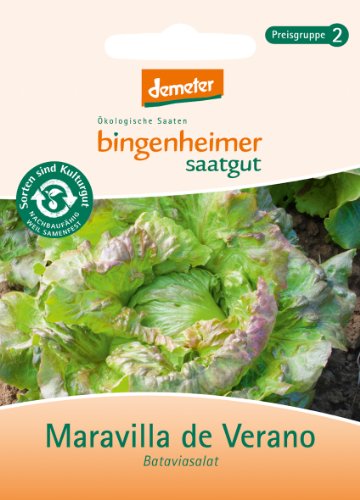 Bingenheimer Saatgut - Bataviasalat Maravilla de Verano - Gemüse Saatgut / Samen von Bingenheimer Saatgut