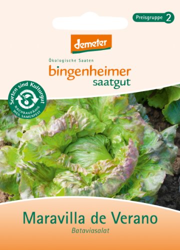 Bingenheimer Saatgut - Bataviasalat Maravilla de Verano - Gemüse Saatgut / Samen Bingenheimer Saatgut - Bataviasalat Maravilla de Verano - Gemüse Saatgut / Samen von Bingenheimer Saatgut