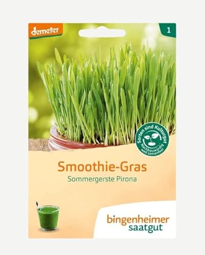 Bingenheimer Saatgut Bio Smoothie-Gras von Bingenheimer Saatgut