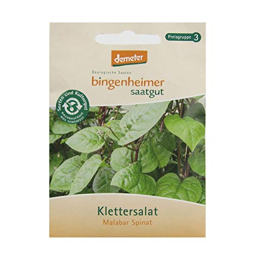 Bingenheimer Saatgut - Klettersalat Malabar Spinat - 1 Tüte von Bingenheimer Saatgut