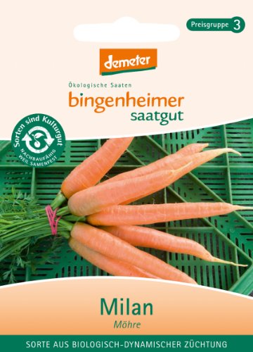 Bingenheimer Saatgut - Möhre Milan - Gemüse Saatgut / Samen von Bingenheimer Saatgut