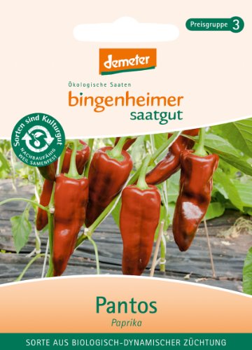 Bingenheimer Saatgut - Paprika Pantos - Gemüse Saatgut / Samen von Bingenheimer Saatgut