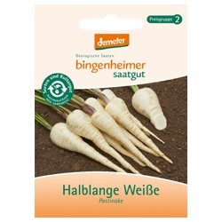 Bingenheimer Saatgut - Pastinake Halblange Weiße - Gemüse Saatgut / Samen von Bingenheimer Saatgut