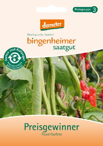 Bingenheimer Saatgut - Prunkbohne Feuerbohne Bohne Preisgewinner - Gemüse Saatgut / Samen von Bingenheimer Saatgut