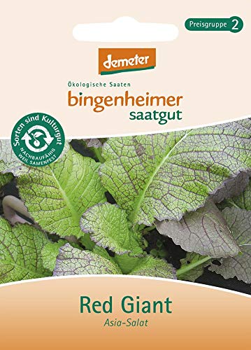 Bingenheimer Saatgut - Red Giant - Asia Salat Saatgut / Samen von Bingenheimer Saatgut