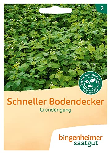 Bingenheimer Saatgut Schneller Bodendecker, Mischung Gründüngung von Bingenheimer Saatgut
