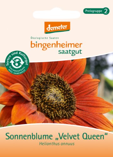 Bingenheimer Saatgut - Sonnenblume Velvet Queen (Saatgut) - 1 Tüte von Bingenheimer Saatgut