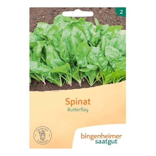 Bingenheimer Saatgut Spinat, Butterflay (2) von Bingenheimer Saatgut