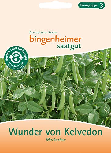 Bingenheimer Saatgut - Wunder von Kelvedon - Markerbse - 1 Tüte von Bingenheimer Saatgut