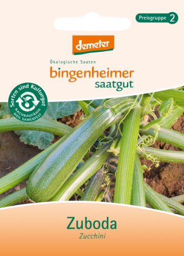 Bingenheimer Saatgut - Zucchini Zuboda - Gemüse Saatgut / Samen von Bingenheimer Saatgut