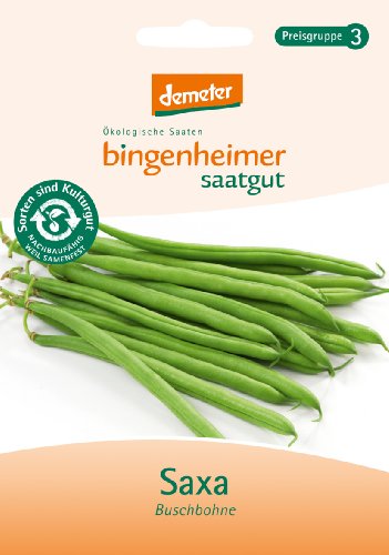 Bingenheimer Saatgut - Buschbohne Saxa - Gemüse Saatgut / Samen von Bingenheimer Saatgut