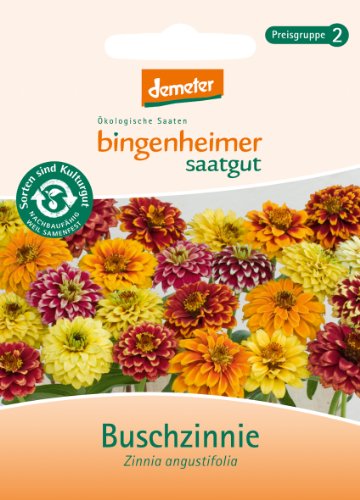 Bingenheimer Saatgut - Buschzinnie - Blumen Saatgut / Samen von Bingenheimer Saatgut