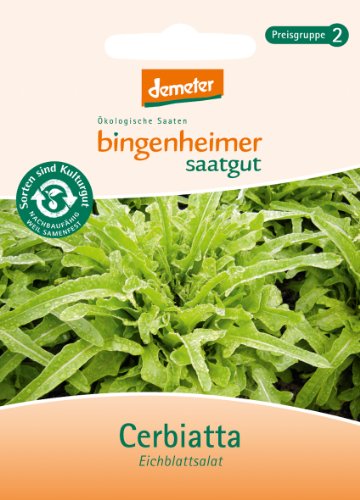 Bingenheimer Saatgut - Eichblattsalat Cerbiatta - Pflücksalat Saatgut / Samen von Bingenheimer Saatgut