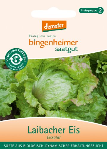 Bingenheimer Saatgut - Eisbergsalat Eissalat Laibacher Eis - Gemüse Saatgut / Samen von Bingenheimer Saatgut