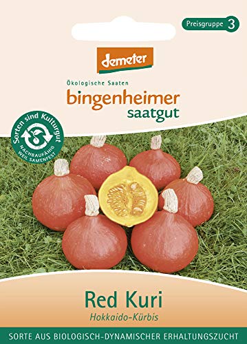 Bingenheimer Saatgut - Hokkaido Kürbis Red Kuri - Gemüse Saatgut / Samen von Bingenheimer Saatgut