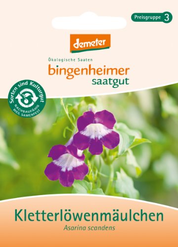 Kletterlöwenmäulchen von Bingenheimer Saatgut