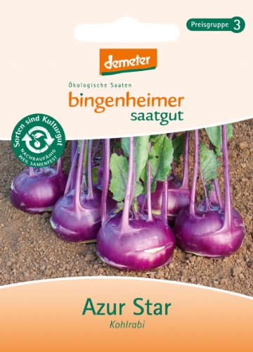 Bingenheimer Saatgut - Kohlrabi Blau Azur Star - Gemüse Saatgut / Samen von Bingenheimer Saatgut