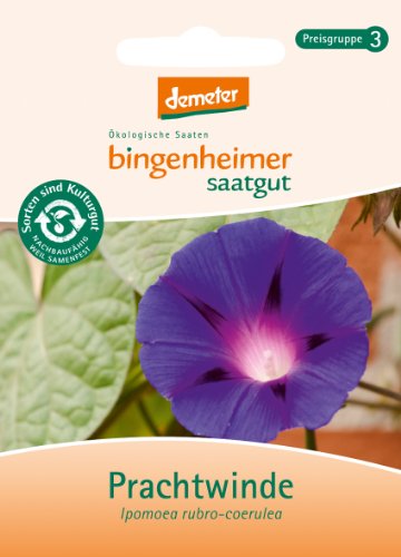 Bingenheimer Saatgut - Prachtwinde - Blumen Saatugt / Samen von Bingenheimer Saatgut