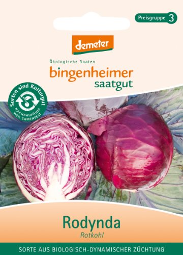 Rotkohl Rodynda von Bingenheimer Saatgut