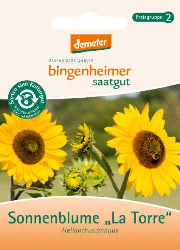 Bingenheimer Saatgut - Sonnenblume "La Torre" - Blumen Saatgut / Samen von Bingenheimer Saatgut