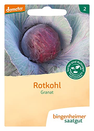 Bingenheimer Saatgut Rotkohl Granat demeter bio für ca. 40 Pflanzen von Bingenheimer