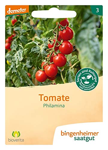 Bingenheimer Saatgut Tomate Philamina demeter bio für ca. 25 Pflanzen von Bingenheimer