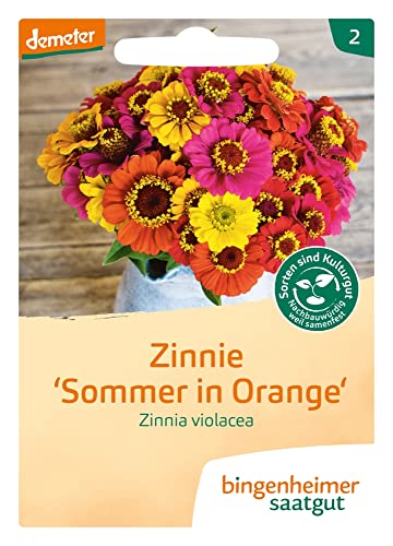 Bingenheimer Saatgut Zinnie Sommer in Orange Zinnia violacea demeter bio für ca. 50 Pflanzen von Bingenheimer