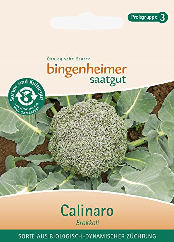 Brokkoli Calinaro,aus Biologisch-Dynamischer Züchtung, 1 Portionstüte von Bingenheimer