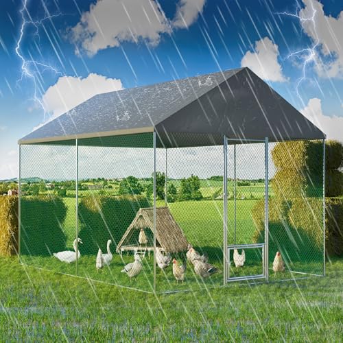 BingoPaw Hühnergehege XXL Hühnervoliere begehbar: 3x4x2.7m Hühnerstall 12 m² Hühnerhaus mit wasserdicht Sonnenschutzdach, Schloss und 2 Tür Freigehege Outdoor Geflügelstall Hühnerkäfig Vogelkäfig BingoPaw Hühnergehege XXL Hühnervoliere begehbar: 3x4x2.7m Hühnerstall 12 m² Hühnerhaus mit wasserdicht Sonnenschutzdach, Schloss und 2 Tür Freigehege Outdoor Geflügelstall Hühnerkäfig Vogelkäfig von BingoPaw