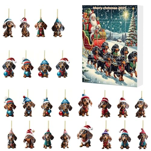Biniveil Dackel Adventskalender | 24 Teile Flacher Acryl Christbaumschmuck | Dekoration für Zuhause für Feiertage Erntedankfest Schulzimmer Wohnung Büros und Studentenwohnheim von Biniveil